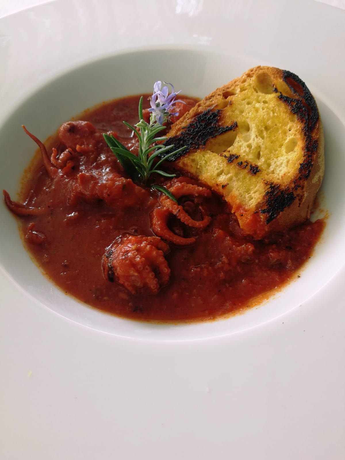 moscardini al sugo