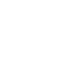 Mostly blank white image with a thin black border along the bottom and right edges.