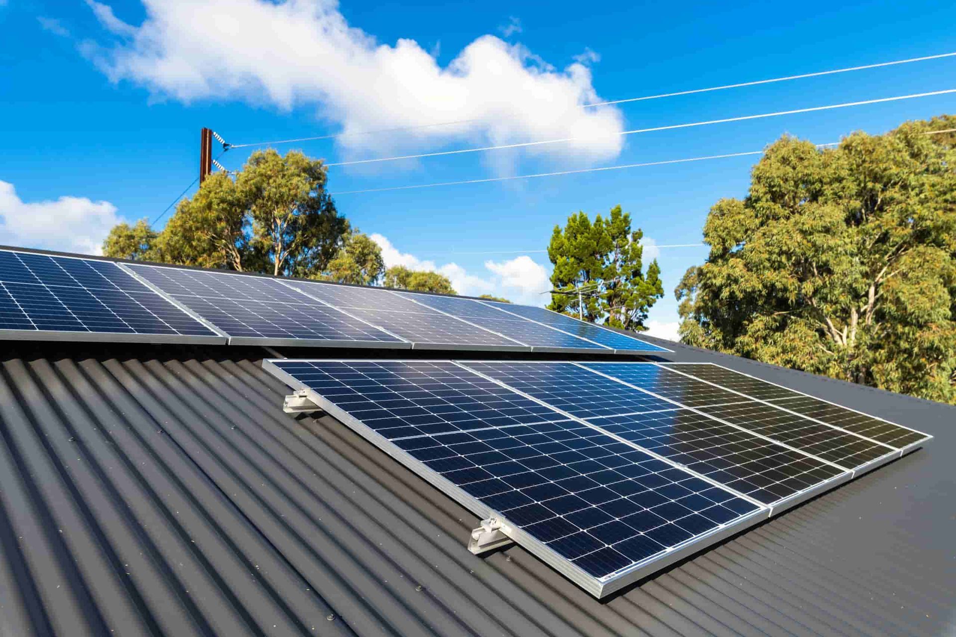 A Row of Solar Panels on a Roof With Trees in the Background — 888 Solar Tek in Murwillumbah, NSW