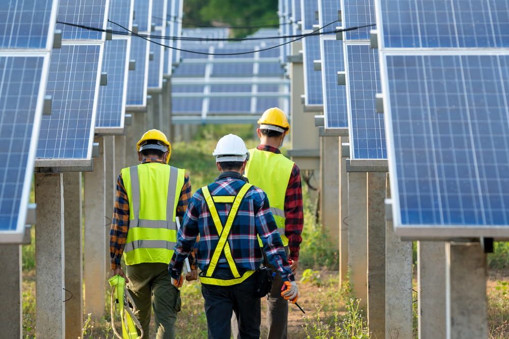 Three Men Are Walking Through a Field of Solar Panels — 888 Solar Tek in Byron Bay, NSW