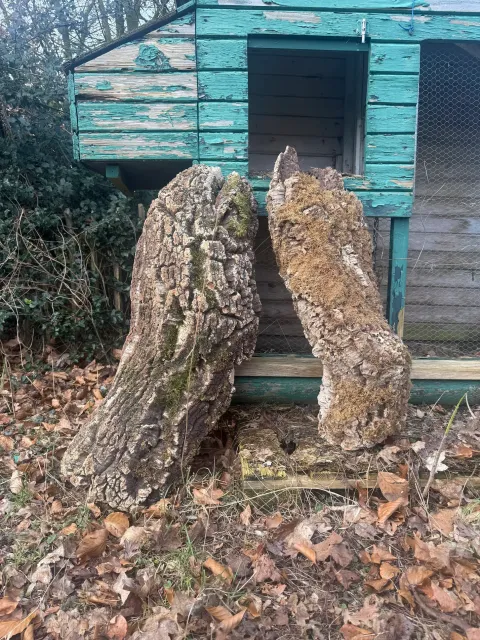  Large Cork  Tubes