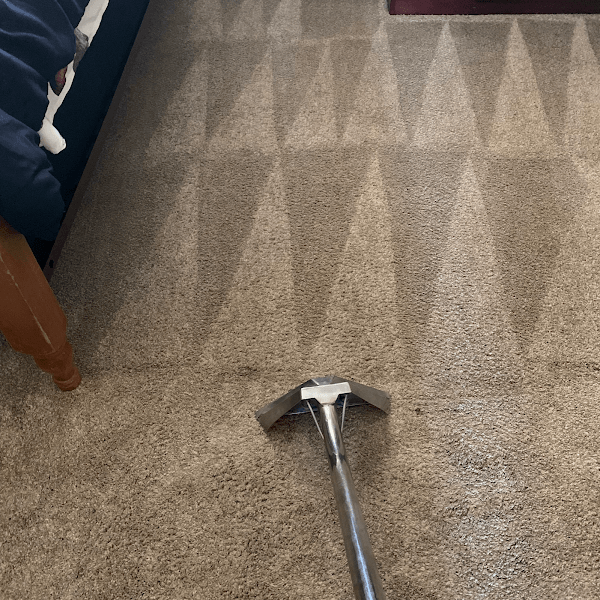Carpet Cleaning