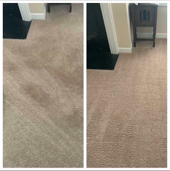 carpet