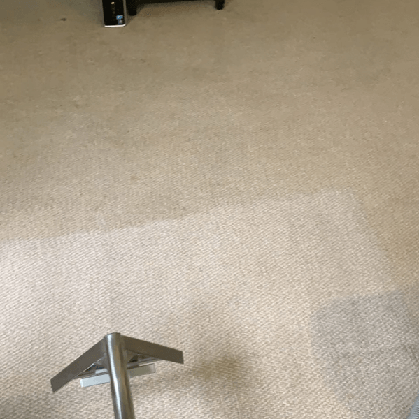 carpet cleaning