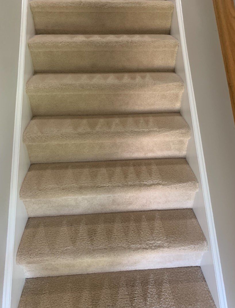 carpet cleaning