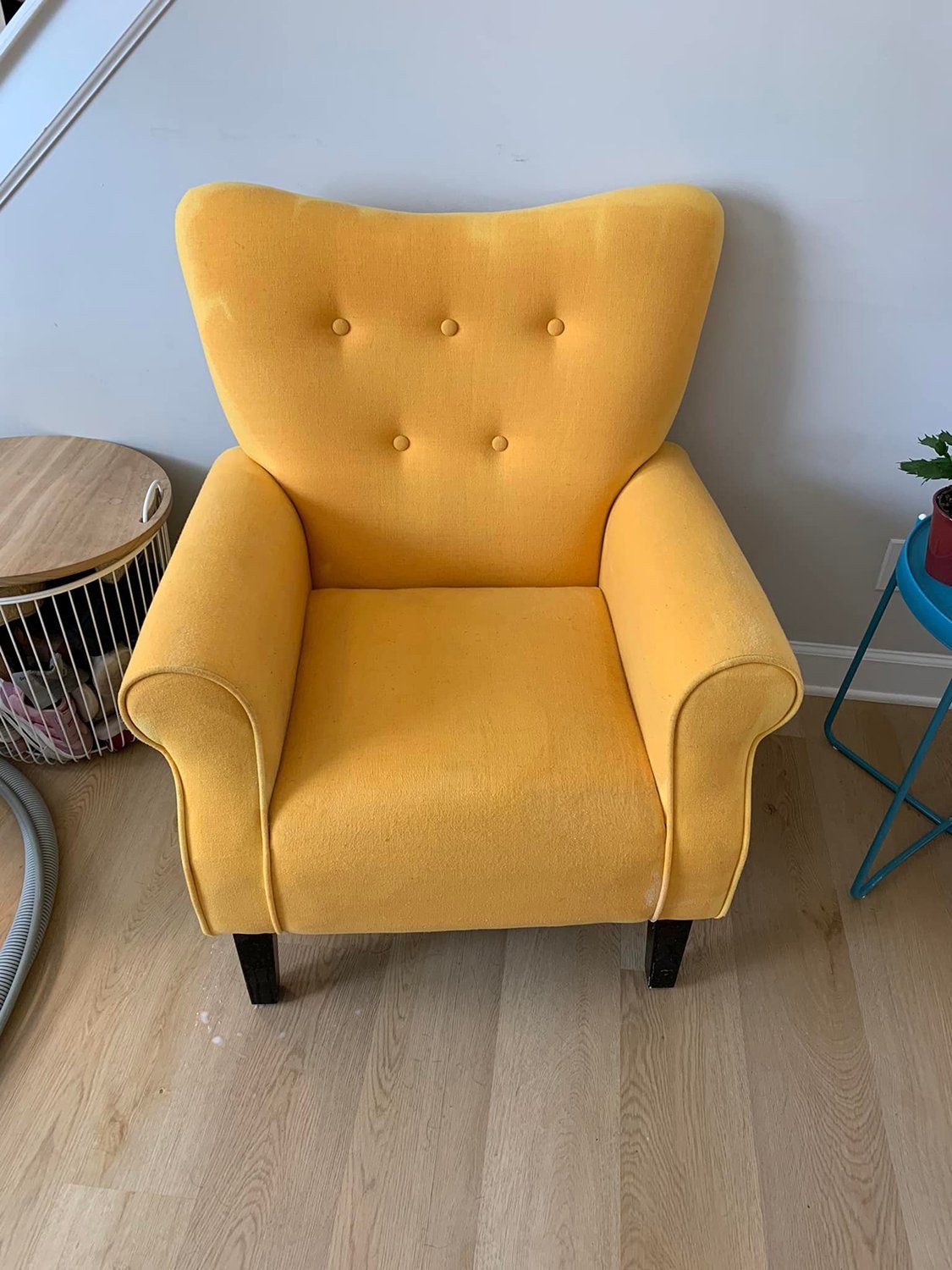 upholstery cleaning