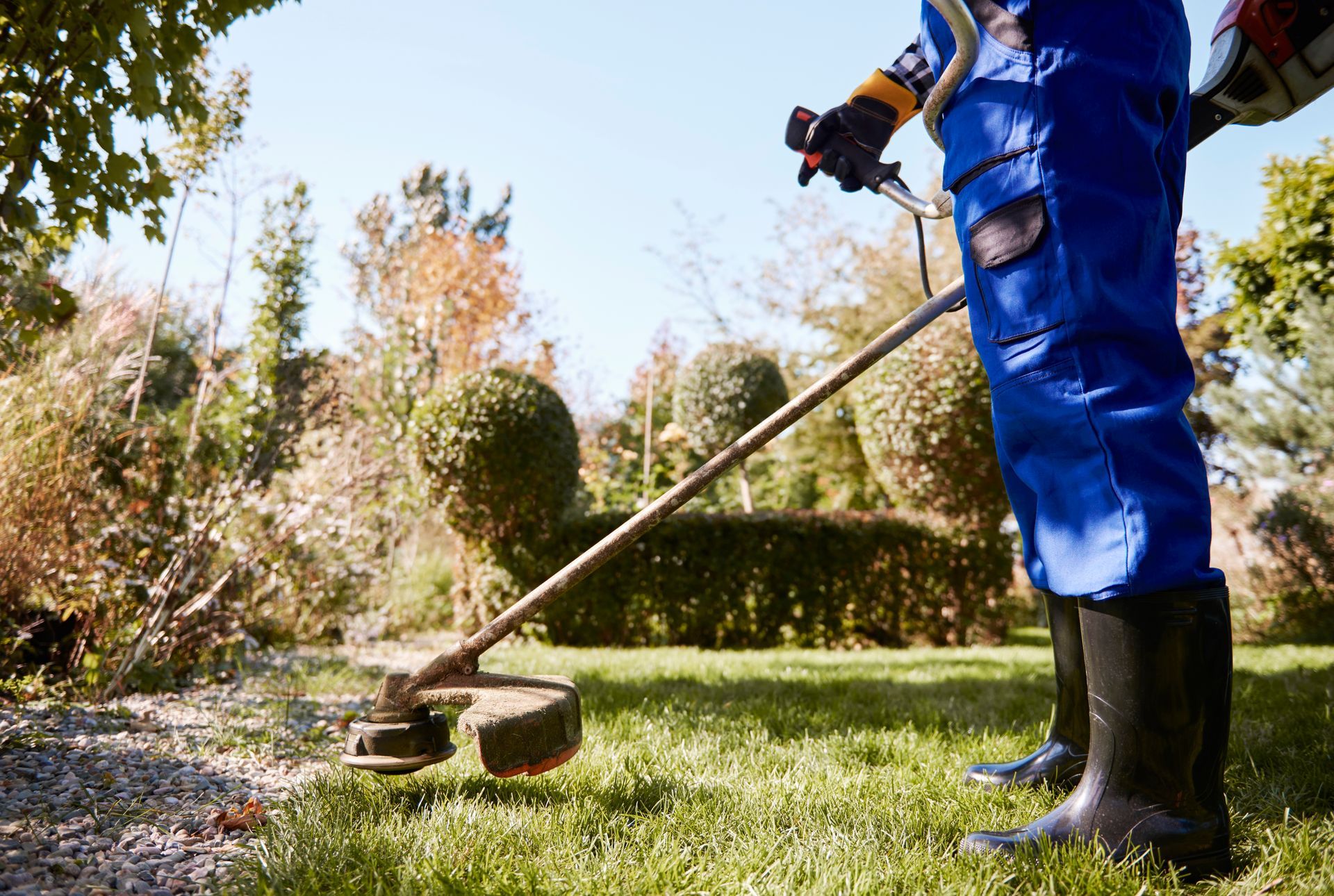Person using a string trimmer to cut grass in a sunny garden, wearing blue work clothes and black boots
