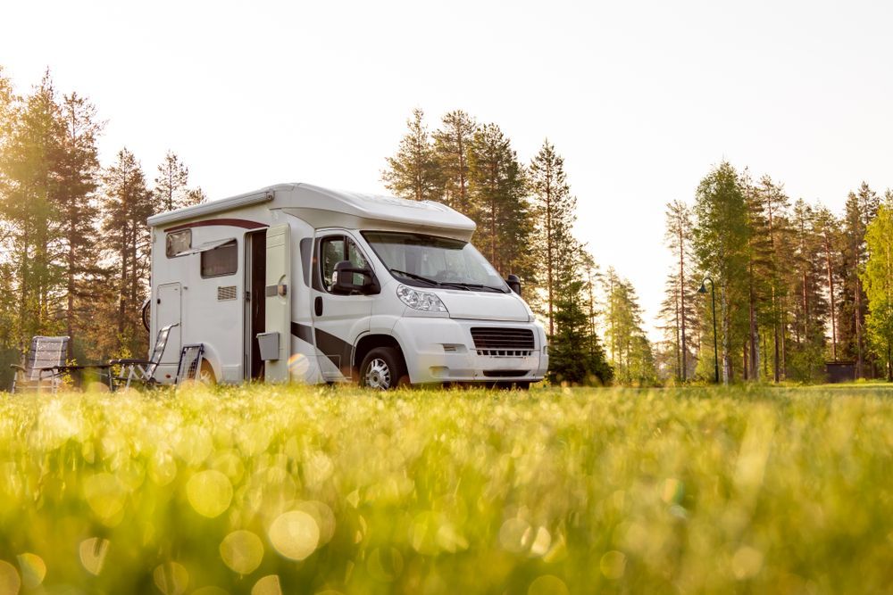 White Camper Van Parked in a Sunlit Grassy Field With Trees in the Background — Dempsters Caravan & RV in Maryborough, QLD