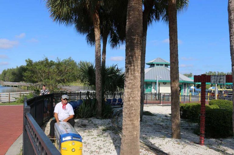 Man driving a small train near a park pavilion with palm trees, on a sunny day.