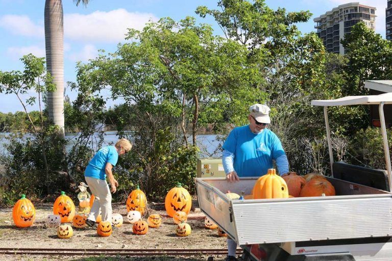 Two people in blue shirts arranging Halloween pumpkin decorations, near a body of water.