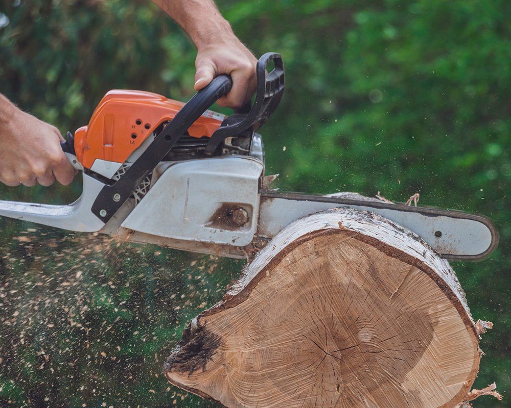 Man Cutting a Log of Tree — Louisville, TN — Petree Arbor Lawn & Landscape