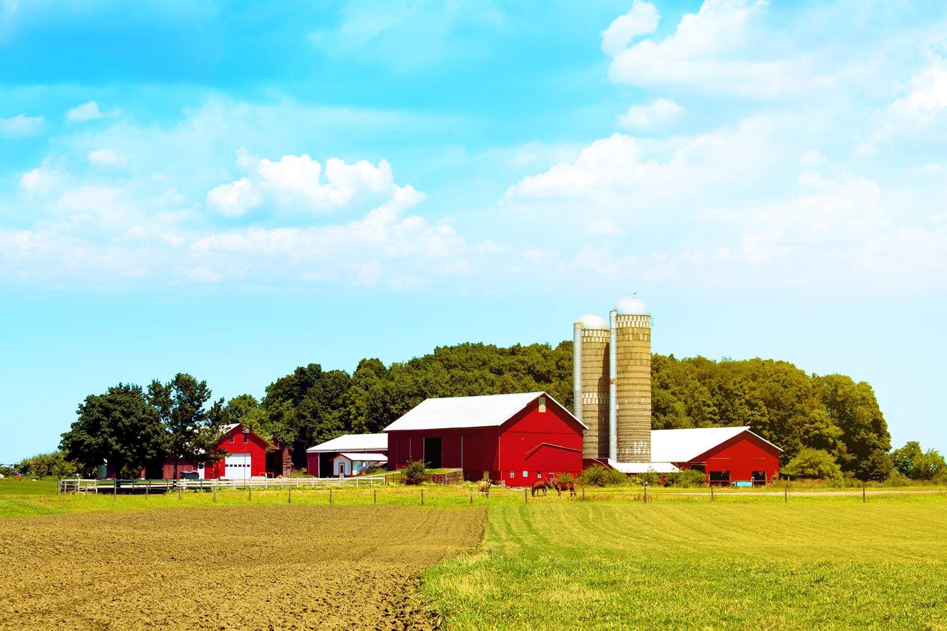 Farm with red barns, silo, green and brown fields under a blue sky.