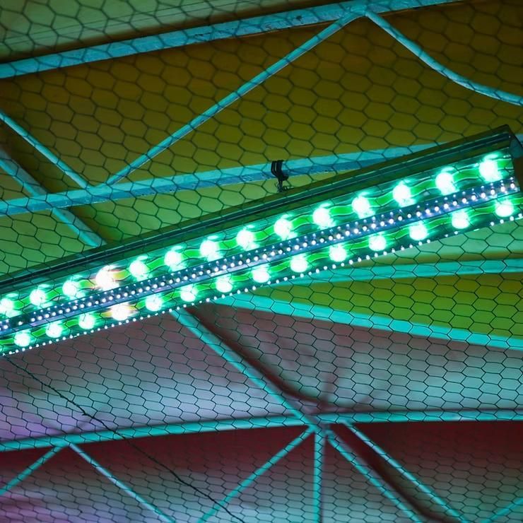 Green LED lights illuminating a ceiling with a honeycomb mesh background.