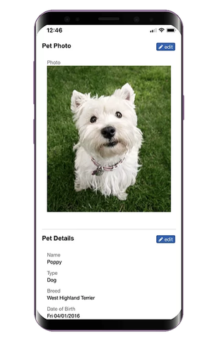 Image placeholder: booking app screenshot