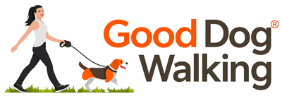 Woman walking a dog beside the “Good Dog Walking” logo with orange and black text