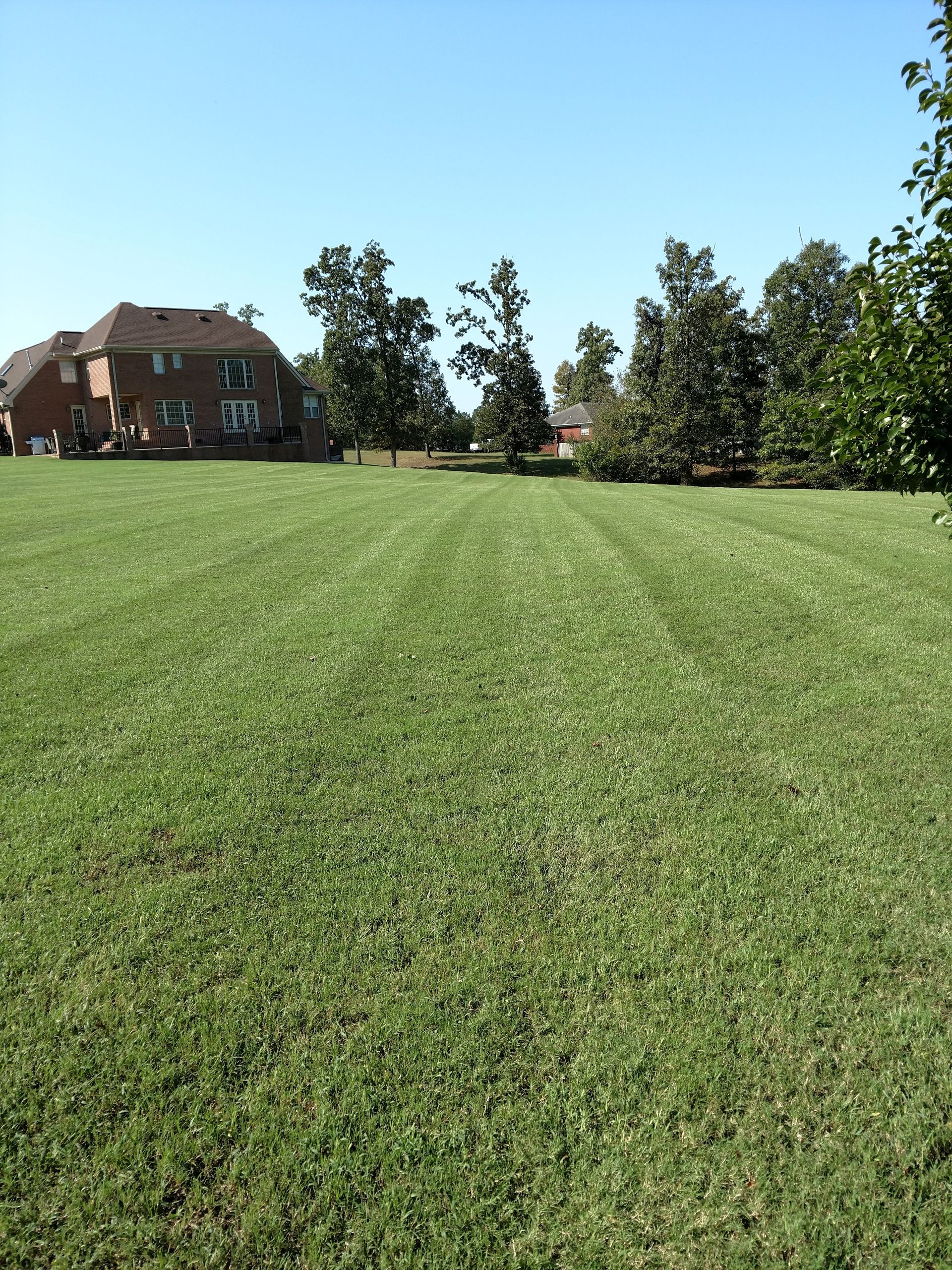 Wide grassy field under a clear blue sky, with houses and trees in the distance.