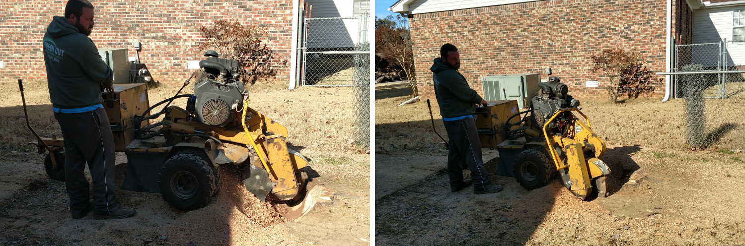 Man operating a yellow brush cutter beside a concrete wall in a yard.
