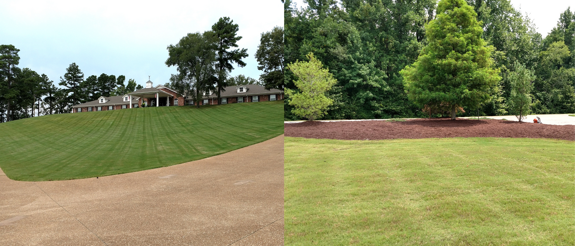 Panoramic view of a grassy park hillside with trees, a dirt path, and a brick retaining wall