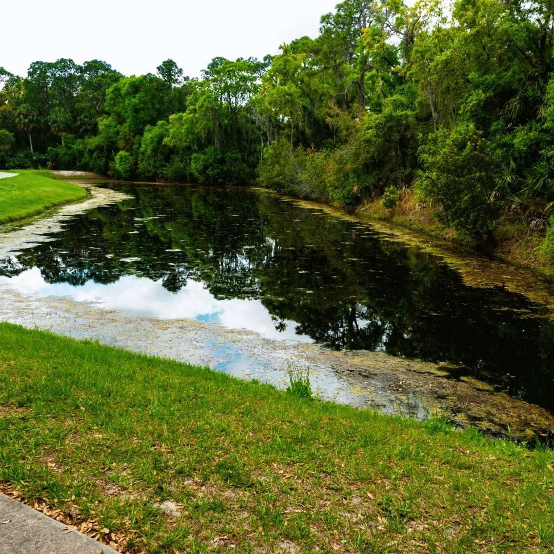 Calm river reflecting trees and sky, bordered by green grass and dense forest.