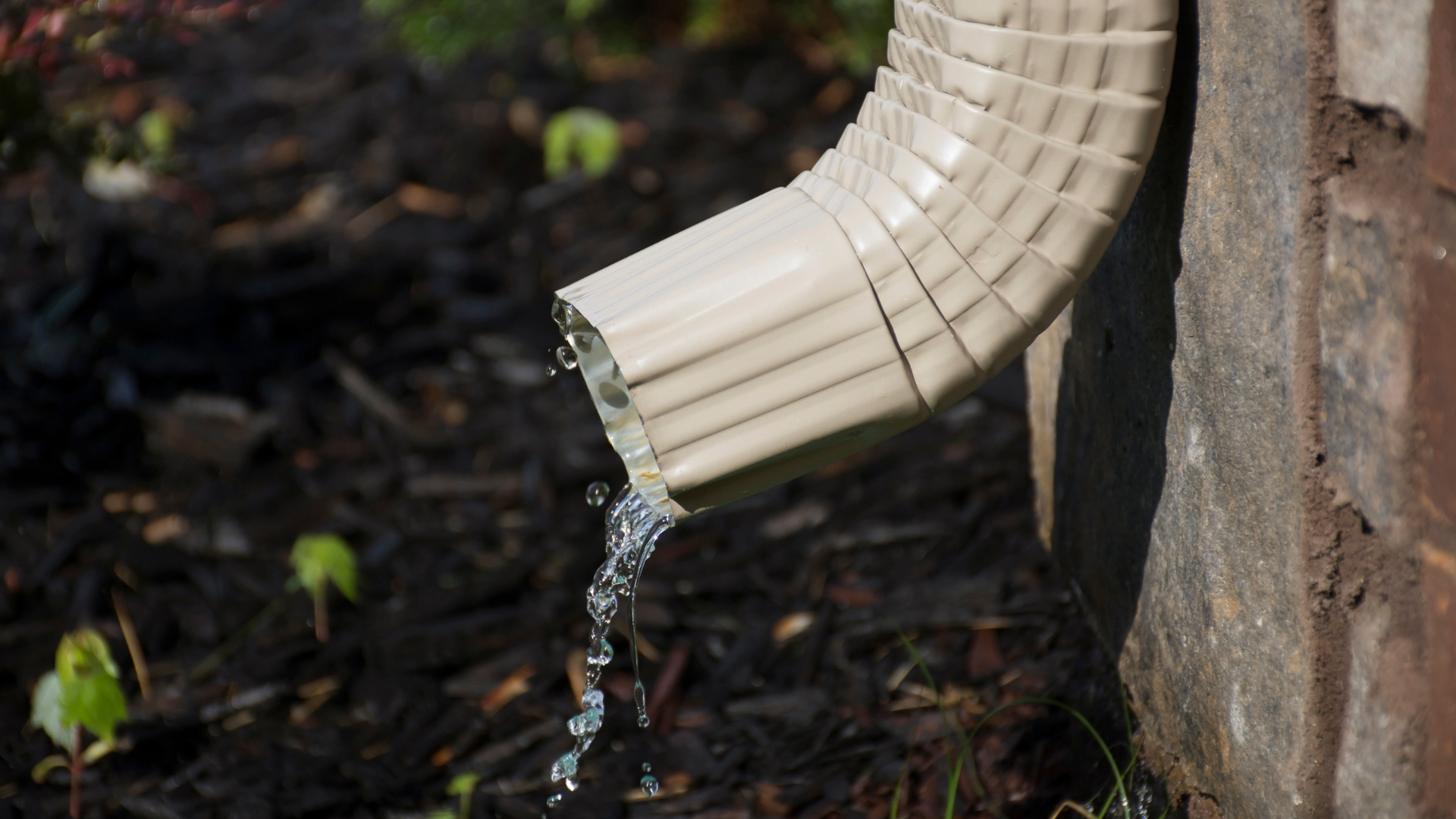 White downspout pouring water beside a brick wall onto dark mulch.