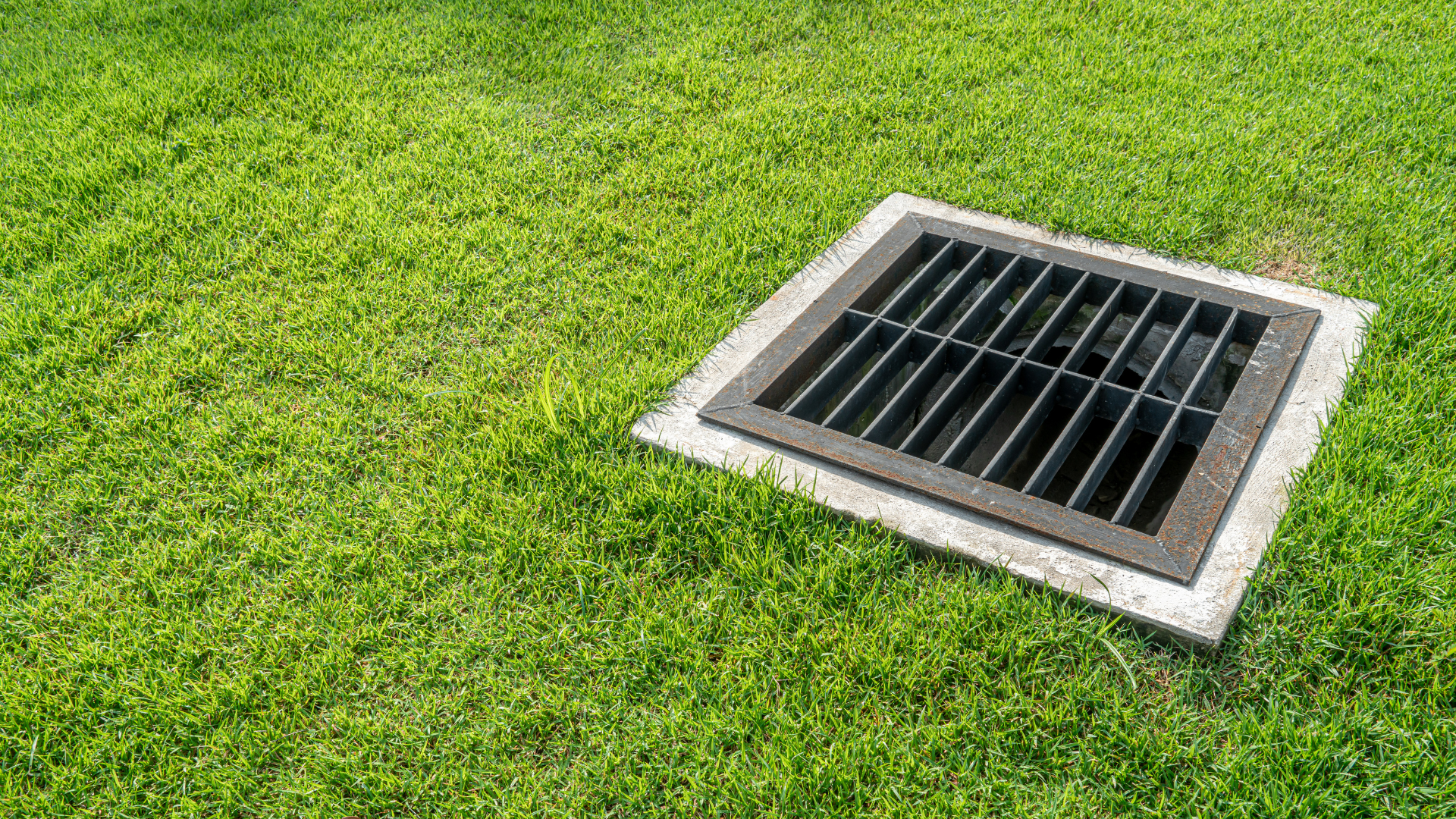 Metal storm drain grate set in a grassy lawn