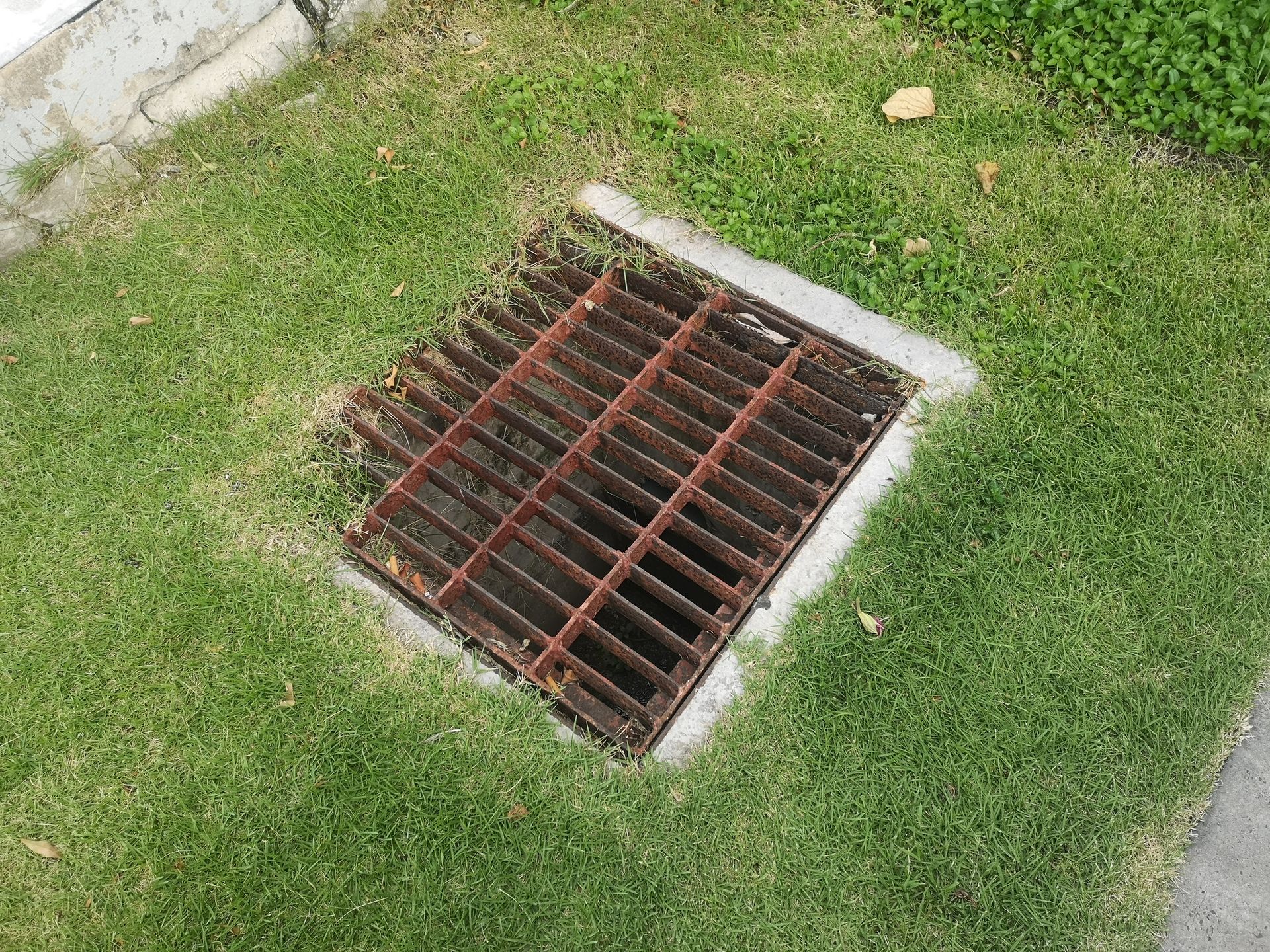 A rusty metal drain cover in green grass, part of a concrete curb.