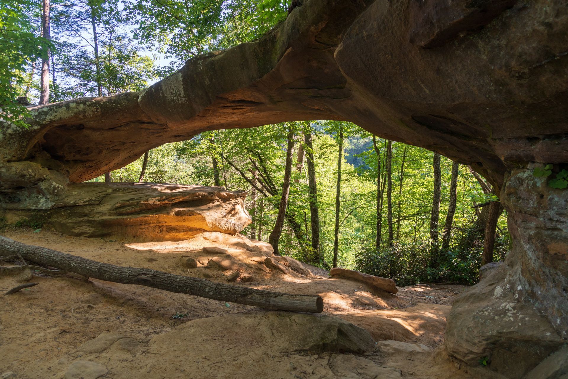 A natural sandstone arch frames a view of a lush green forest on a sunny day.
