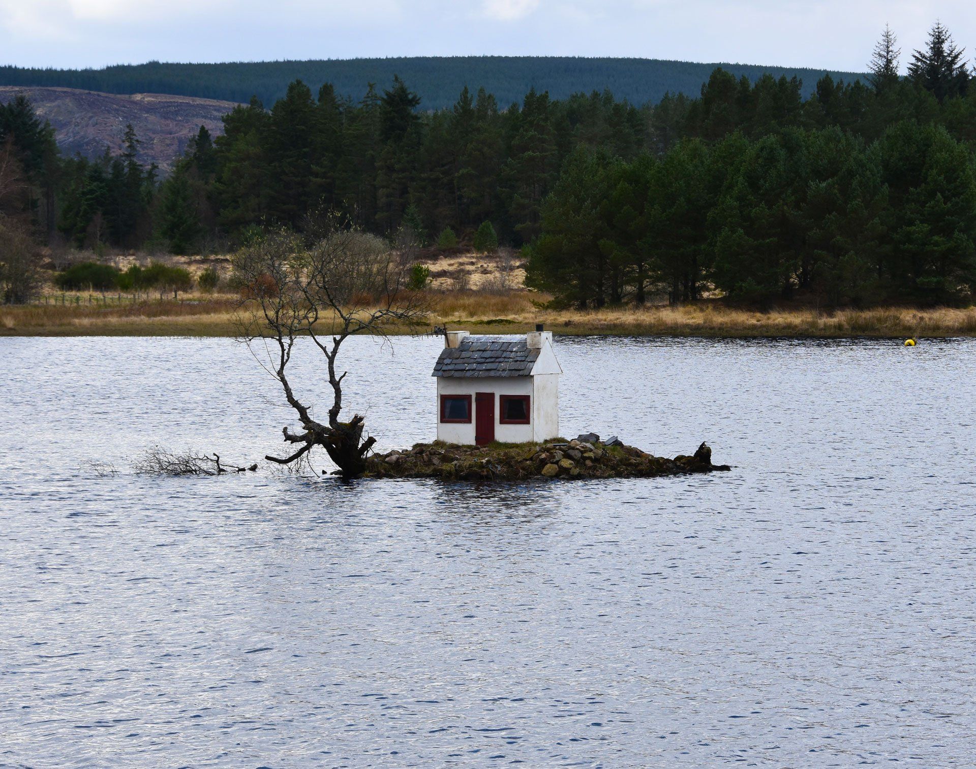 tiny house on an island in a lake