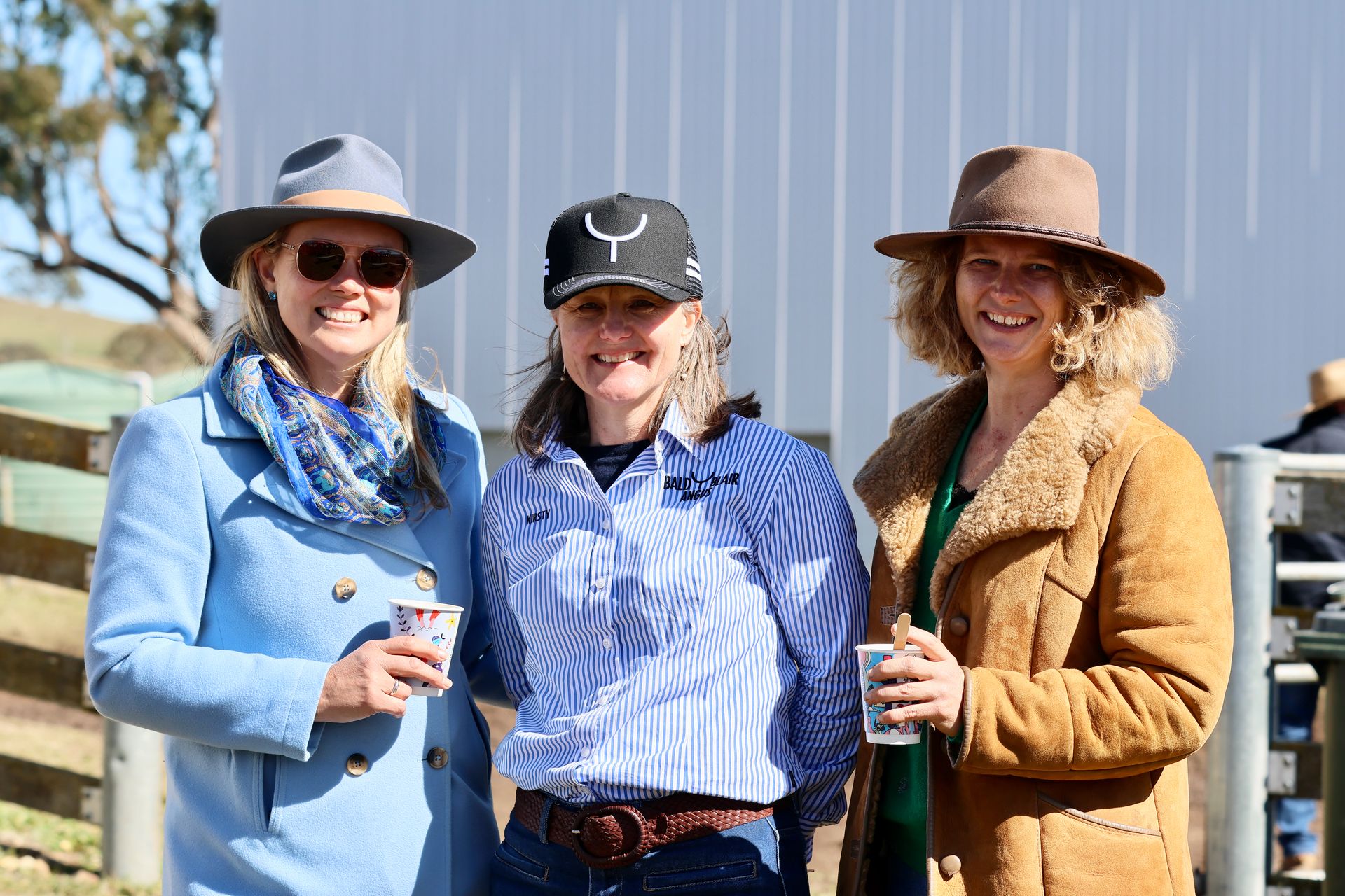 Boundary Rider Hat The Boundary Rider's Report August 2025 - Bull Sale Results
