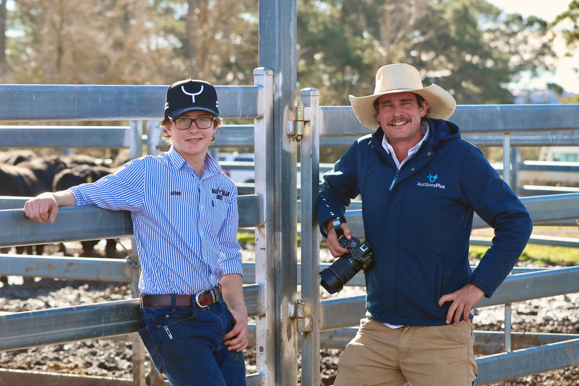 Boundary Rider Hat The Boundary Rider's Report August 2025 - Bull Sale Results