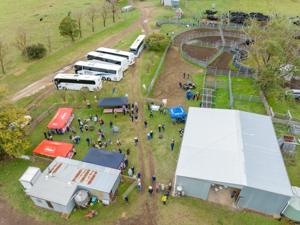 The Boundary Rider's Report May 2025