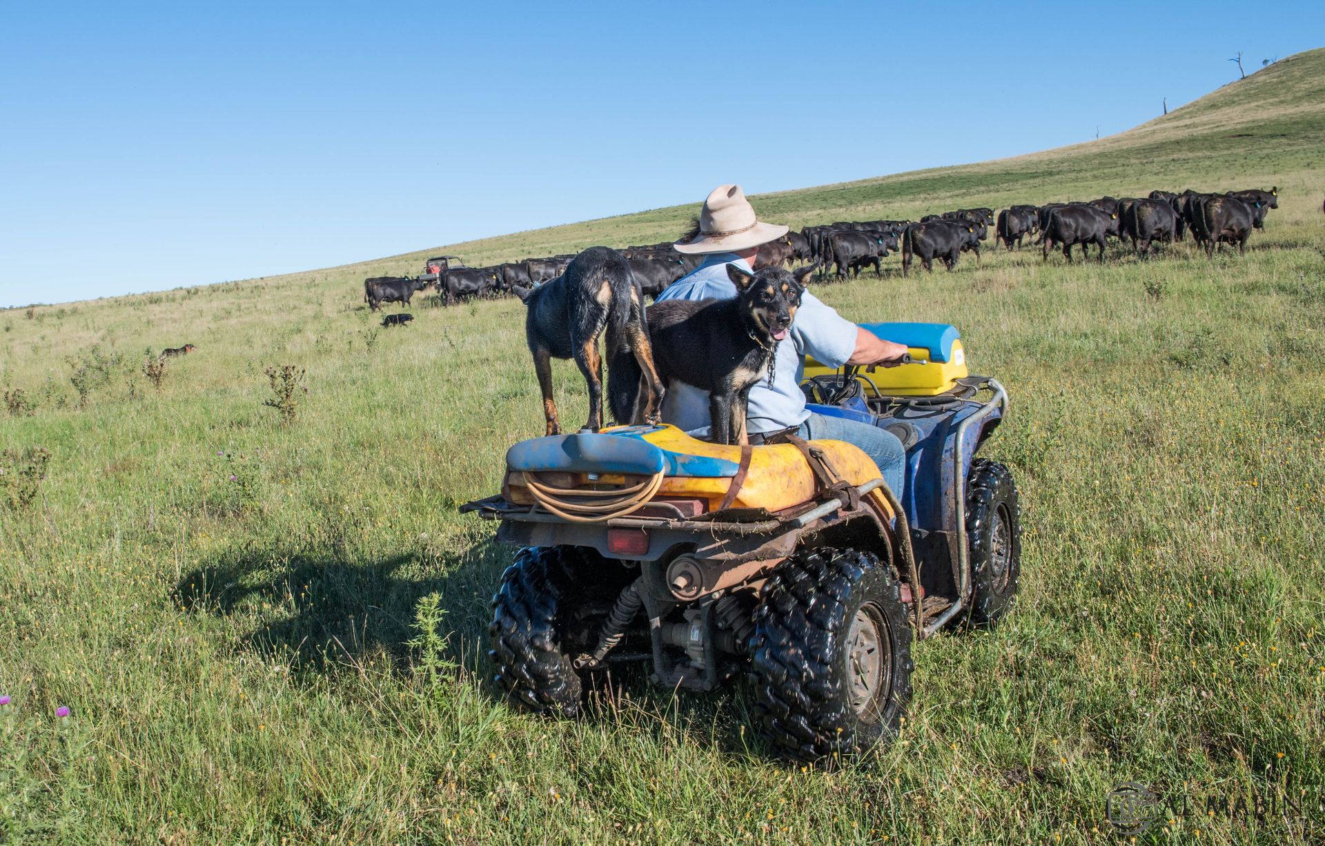 The Boundary Rider's Report May 2023