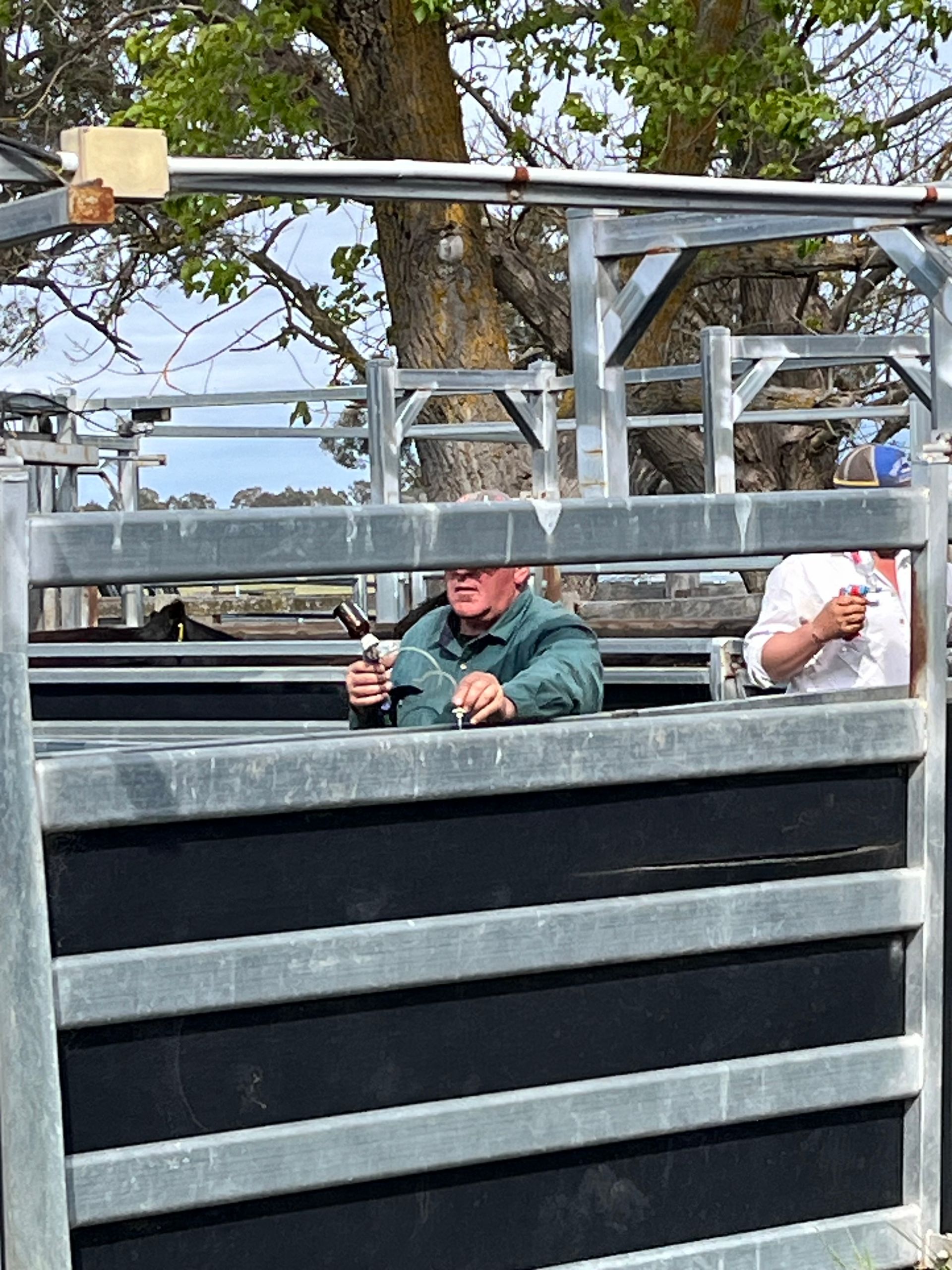 The Boundary Rider's Report October 2024