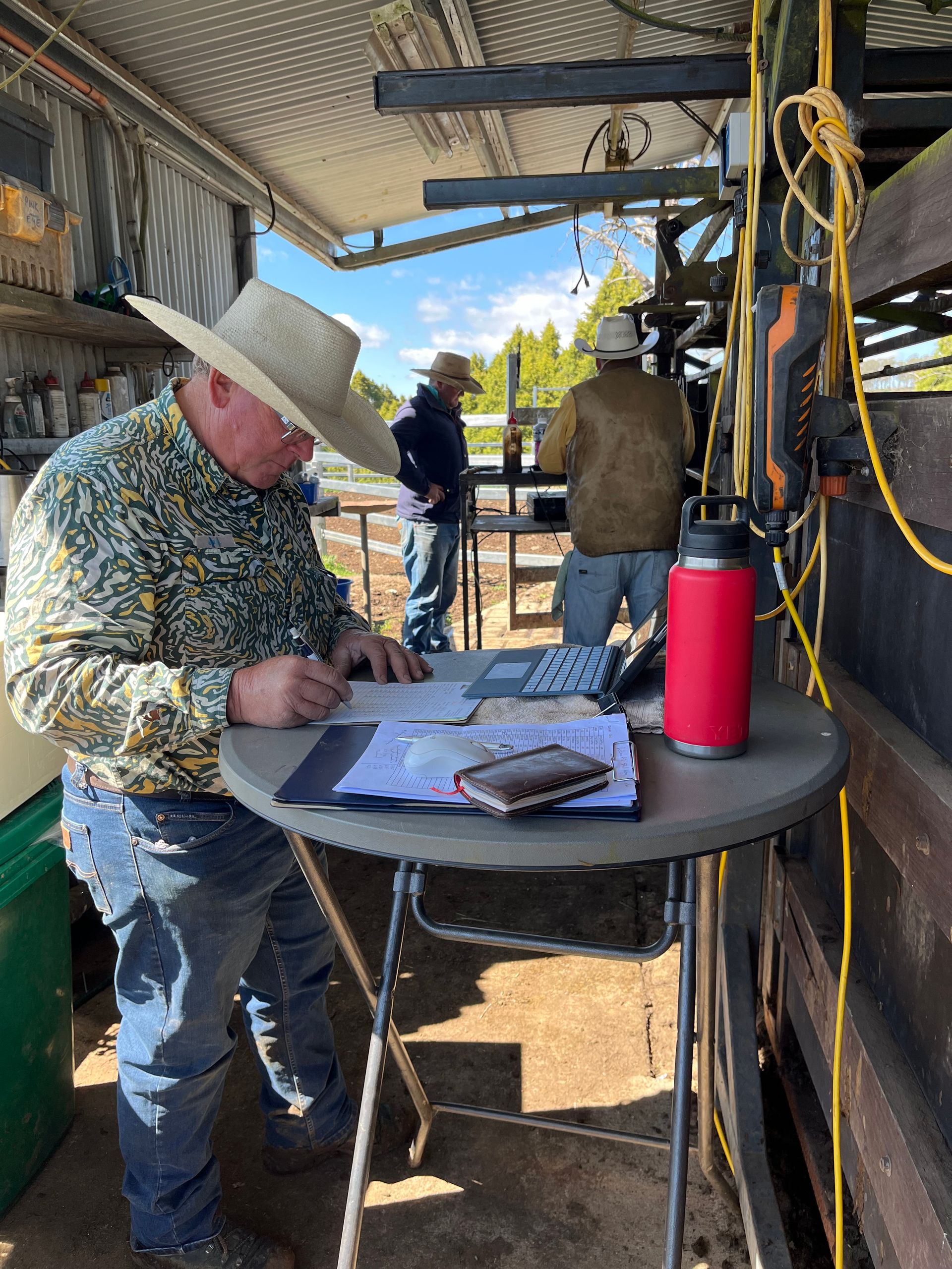The Boundary Rider's Report November 2024