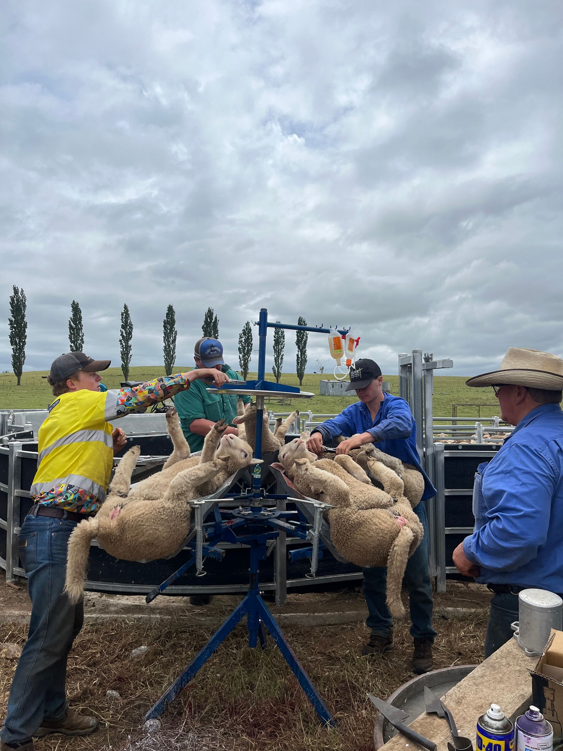 The Boundary Rider's Report December 2024