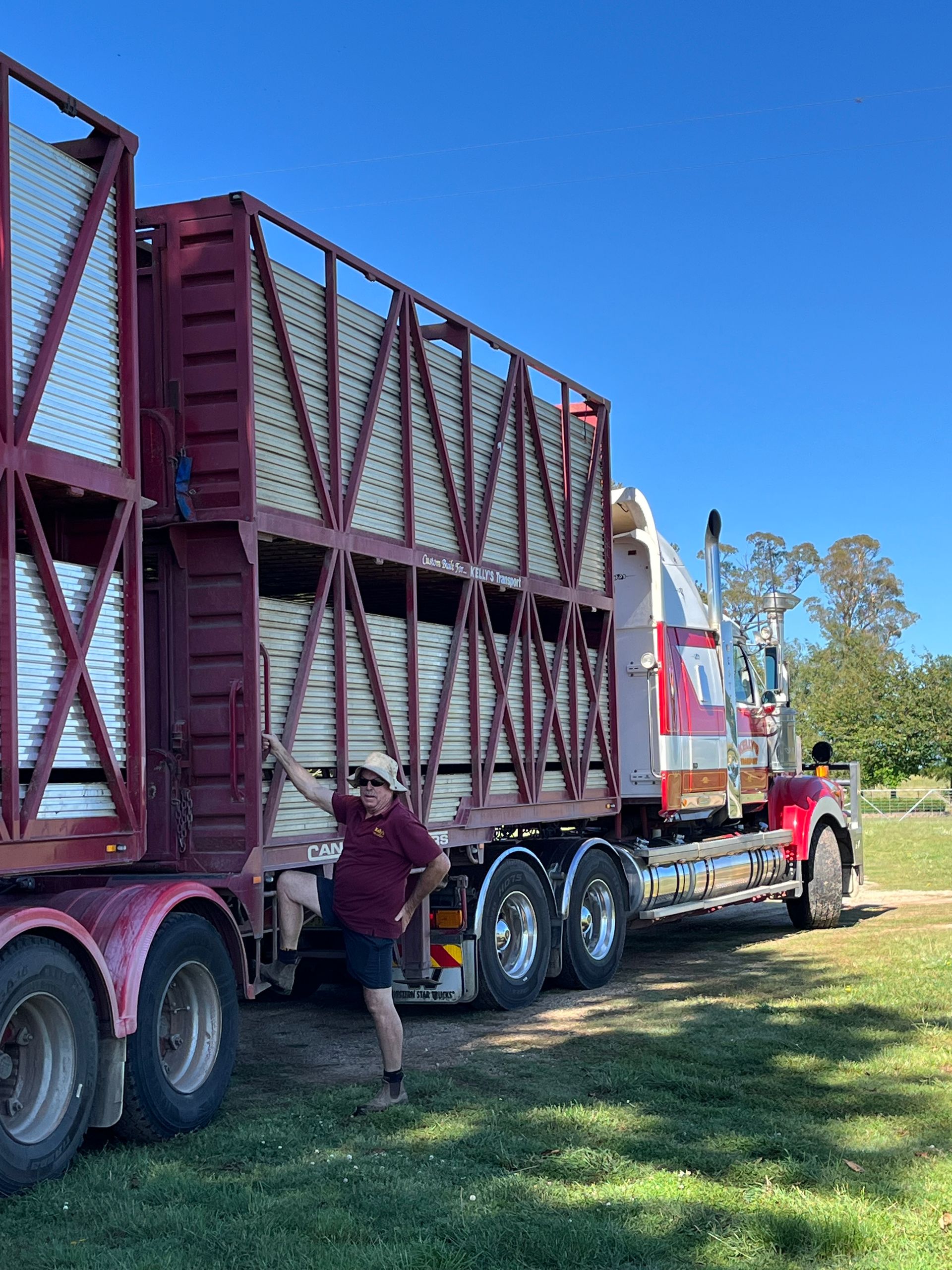 The Boundary Rider's Report December 2024