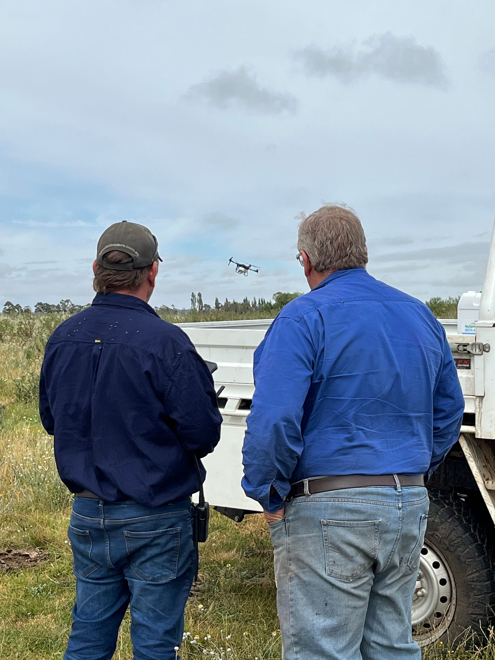 The Boundary Rider's Report January 2025