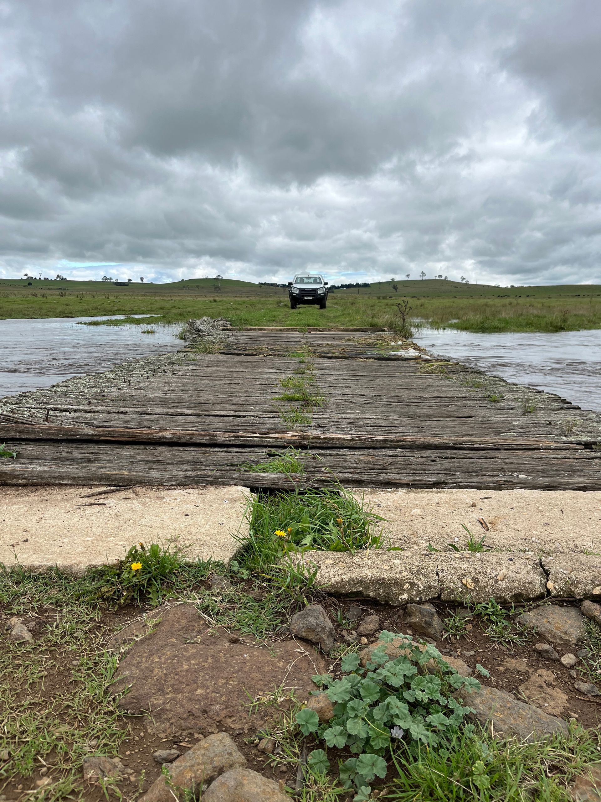 The Boundary Rider's Report April 2025
