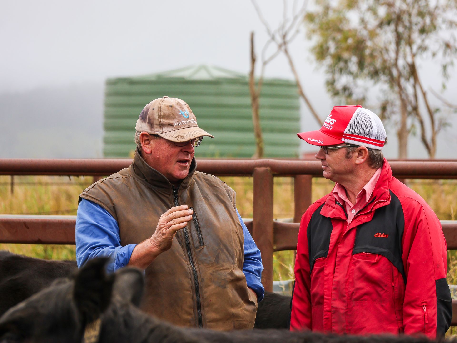 The Boundary Rider's Report April 2025