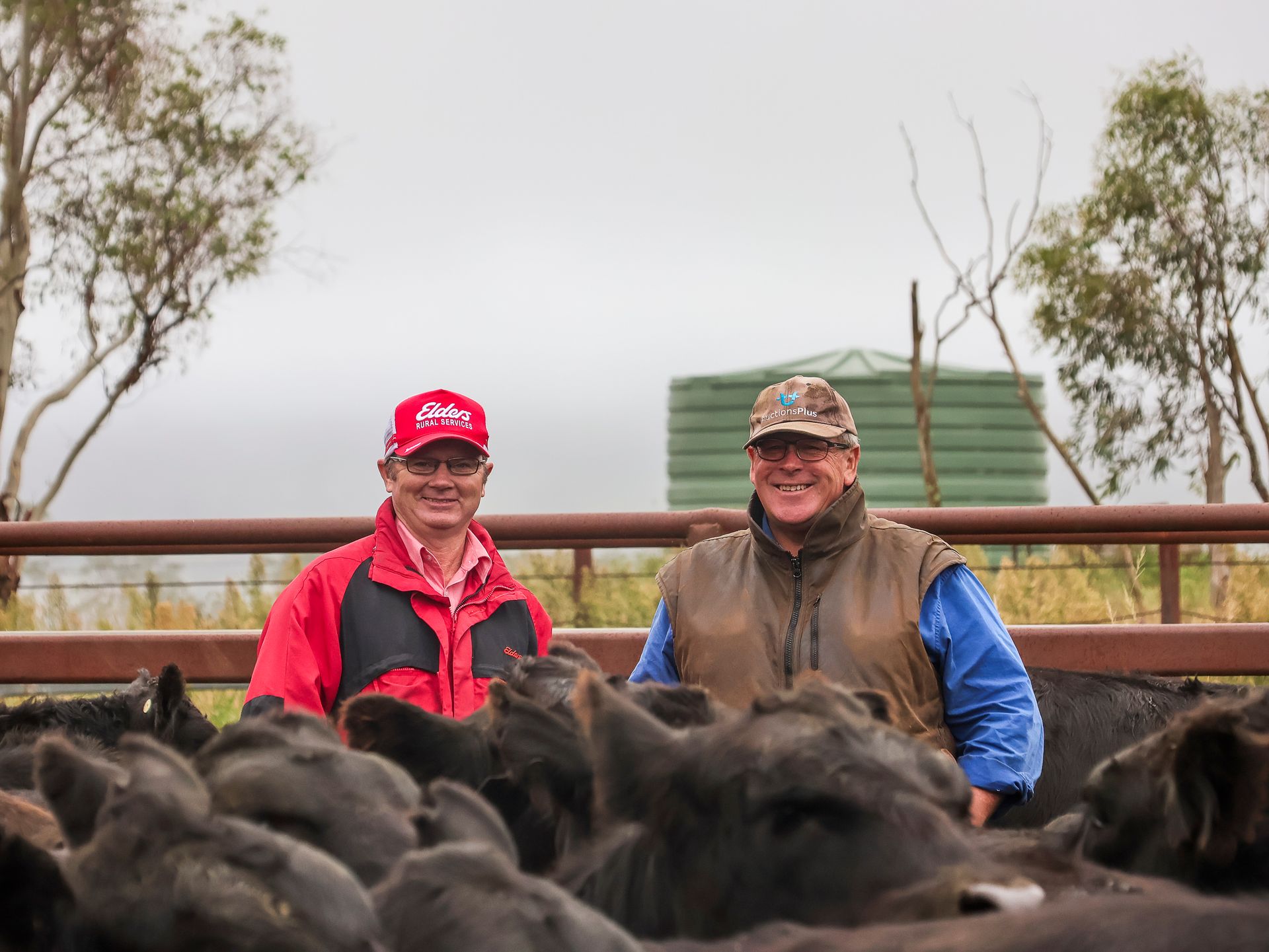 The Boundary Rider's Report April 2025