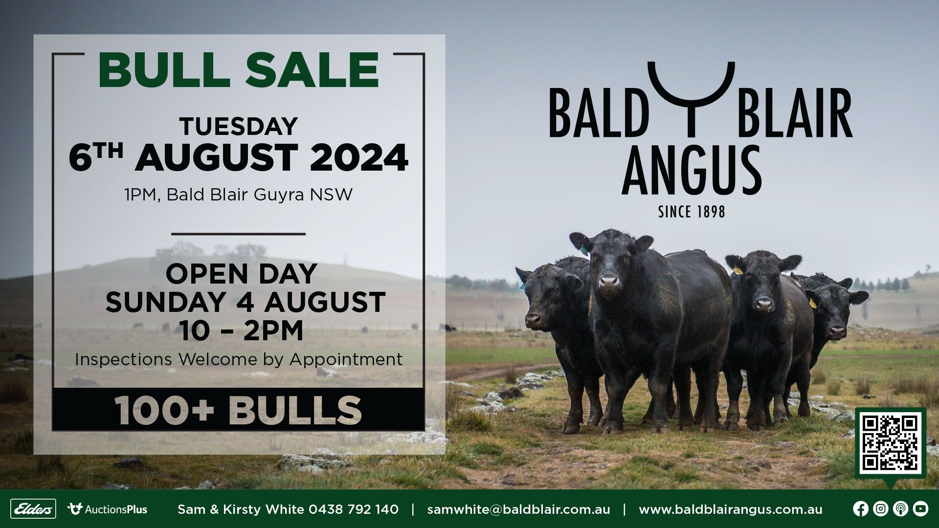 Bald Blair Angus Stud: Bull Sale Tuesday 5th August 2025