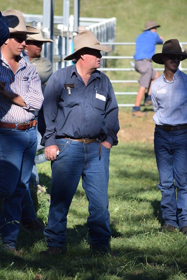 Bald Blair Angus