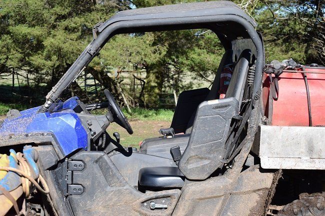 The Buggy