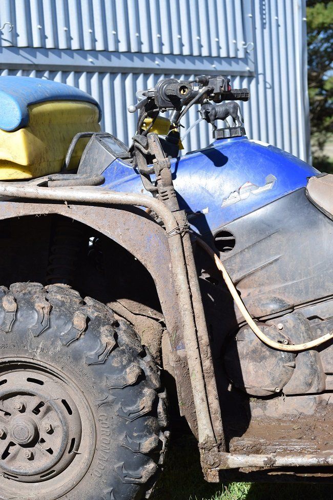 The Bike