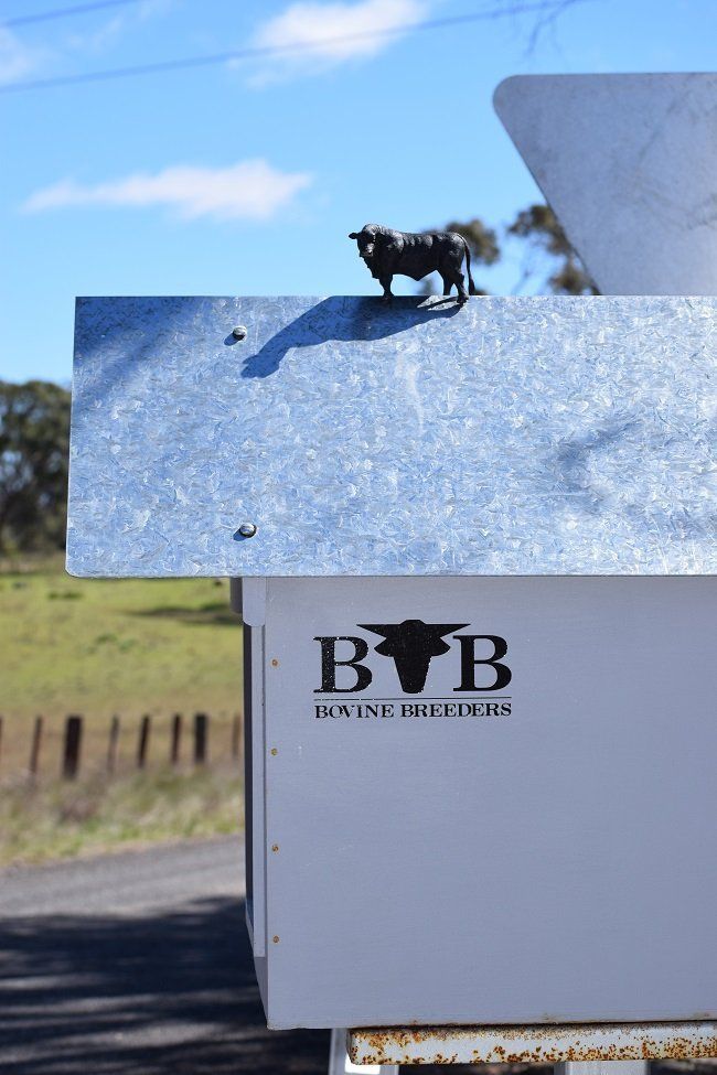 Bovine Breeders