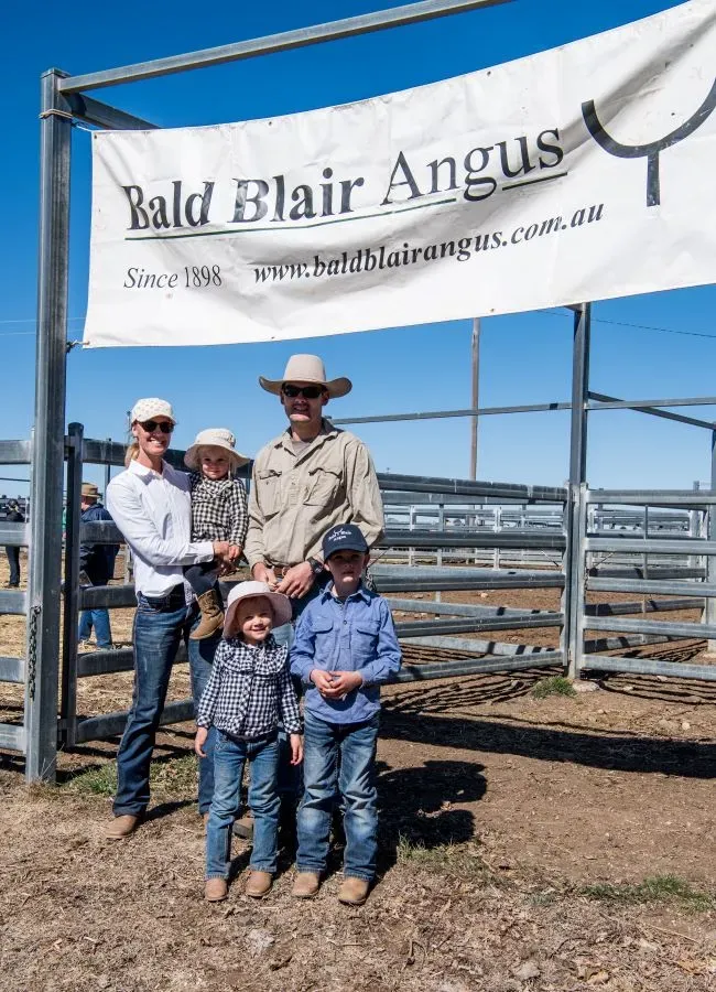 Bald Blair Angus