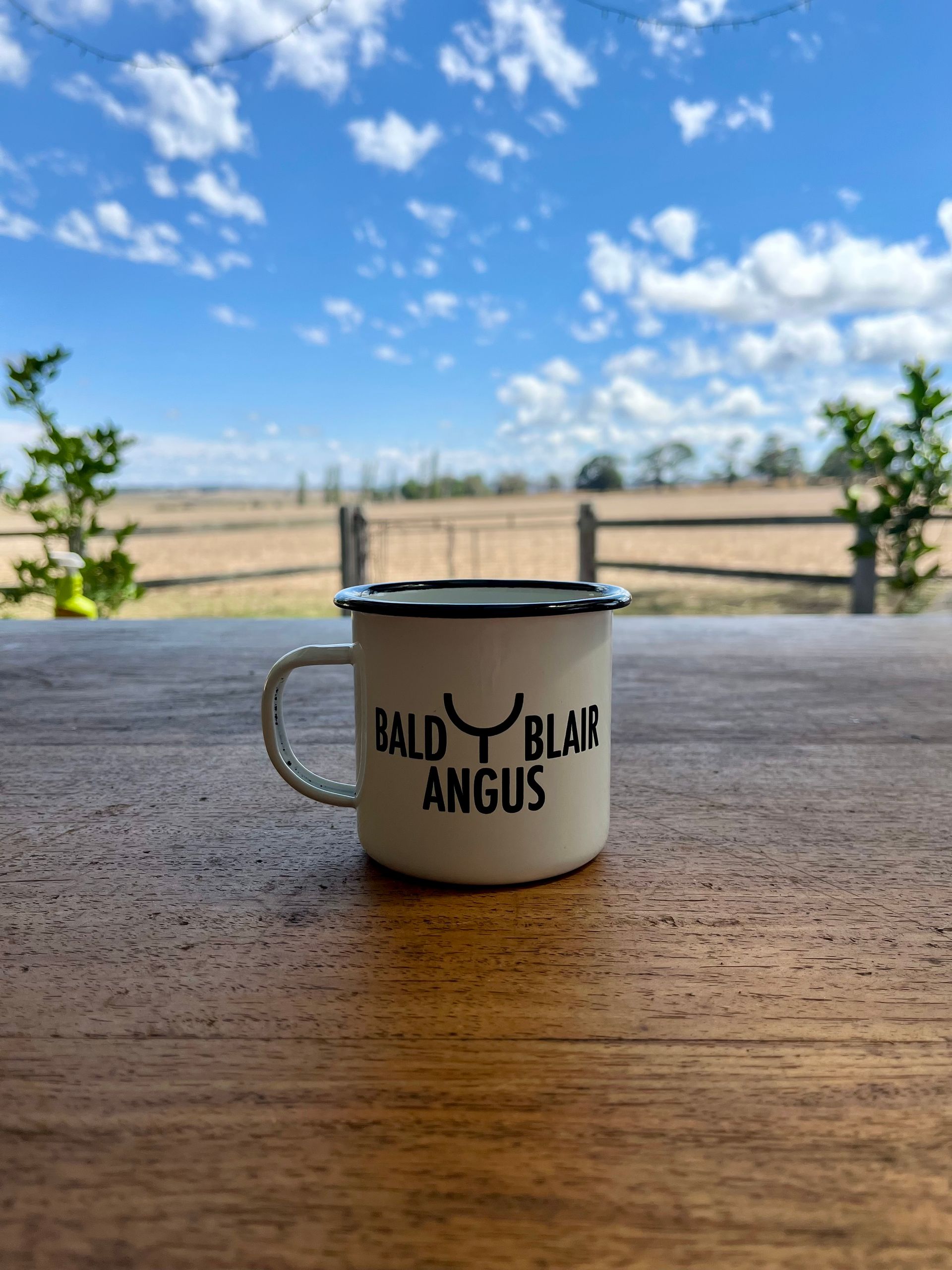 Bald Blair angus mug