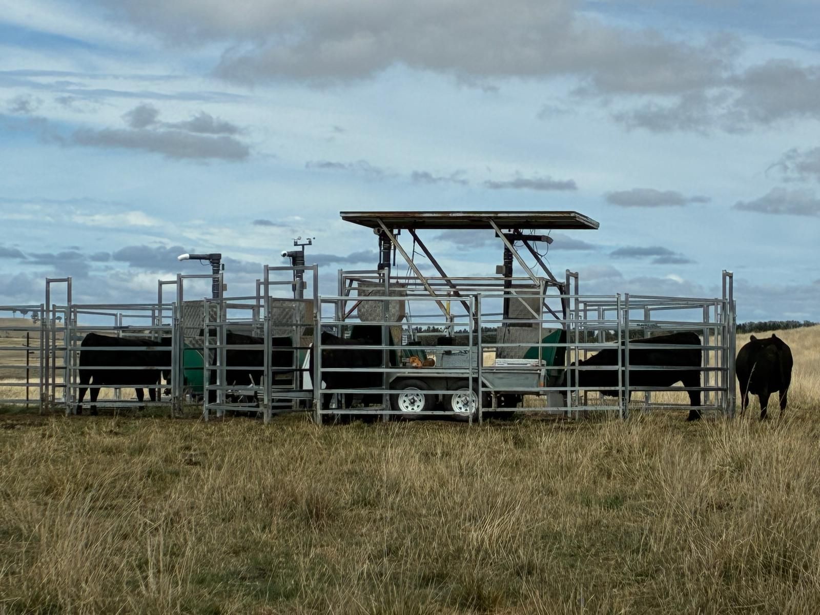 Methane Project at Bald Blair Angus