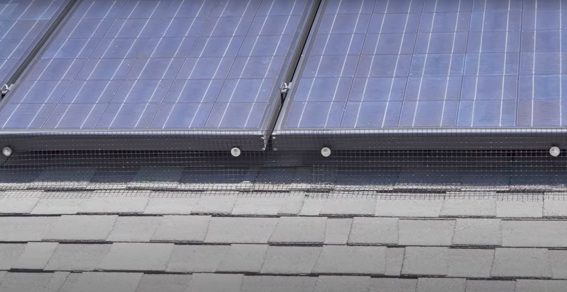 solar panel bird control solution for Australian homes