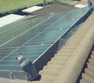 professional solar installation team working on roof